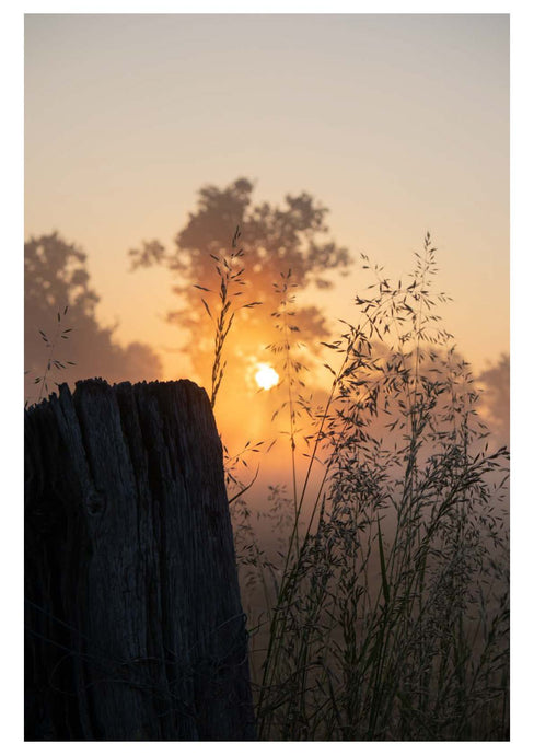 6 måder til en behagelig start på dagen